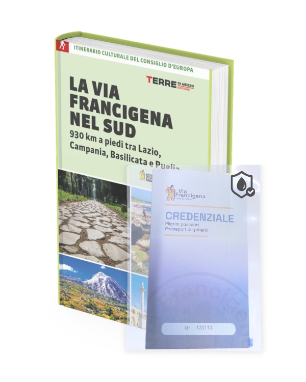 vf del sud cred e busta